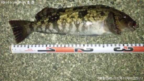 �����ʥ�