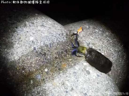 �����ꥤ��