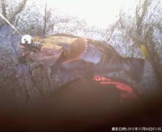 �����ʥ�