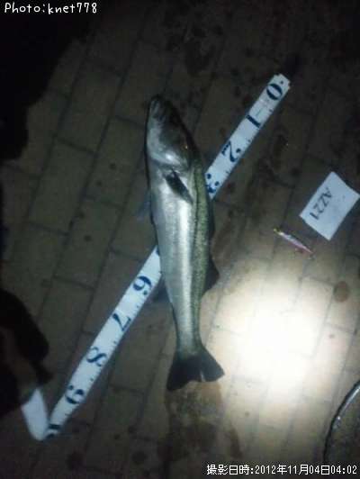 �����Х�