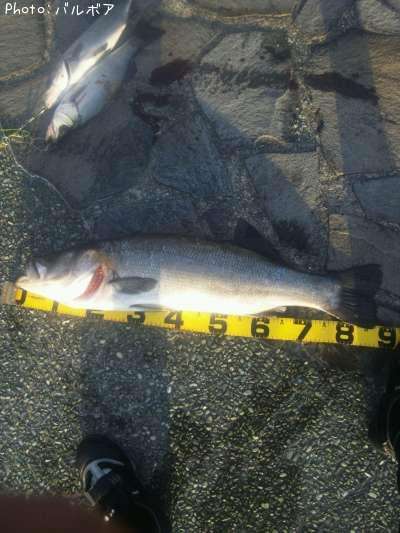 �ҥ饹����