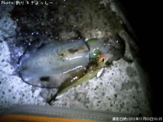 �����ꥤ��