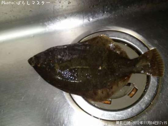 �ޥ����쥤