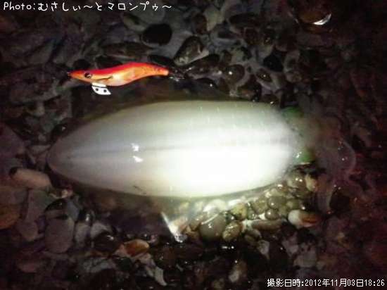 �����ꥤ��