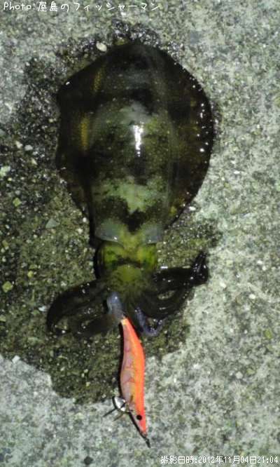 �����ꥤ��