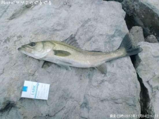 �����Х�