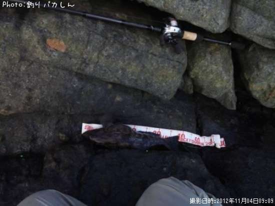 �����ʥ�