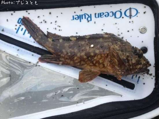 �����Υ���Х�