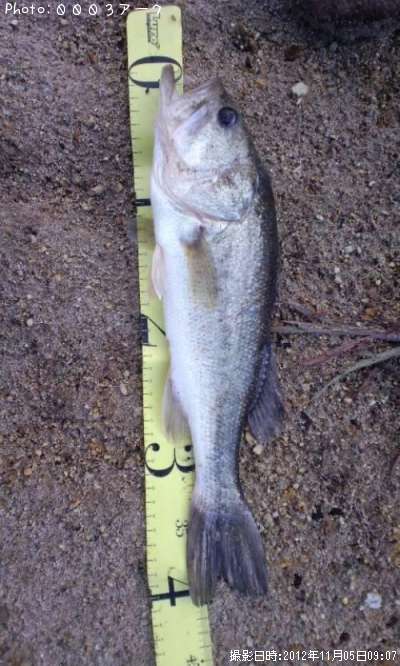 �֥�å��Х�