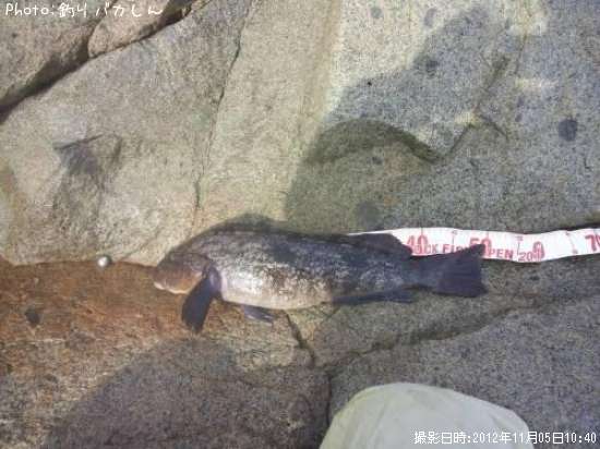 �����ʥ�