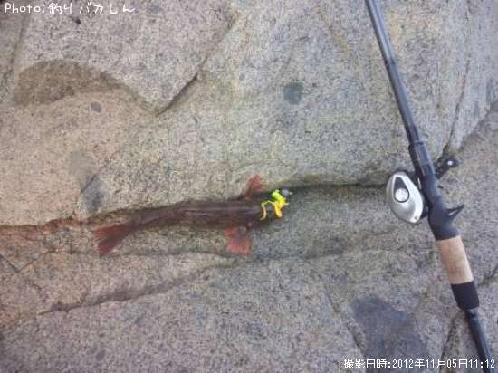 �����ʥ�