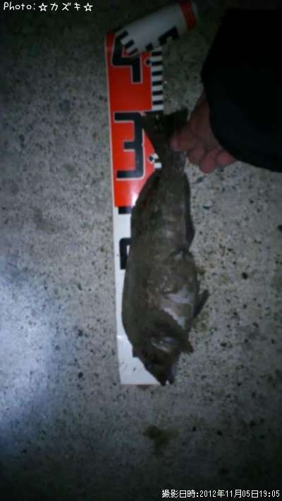 �����ʥ�