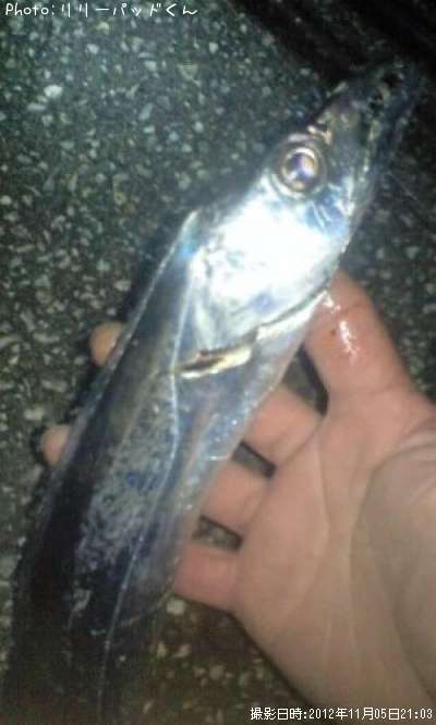 ���å������ʣ⡰������