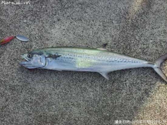 �ޤ�������