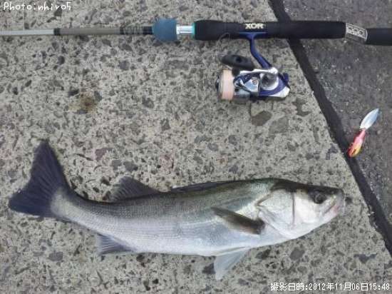 �����Х�