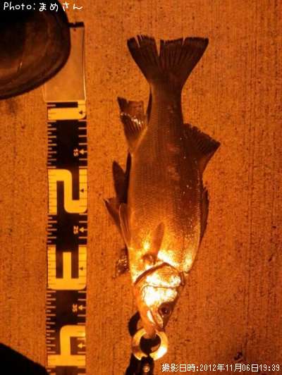 �����Х�