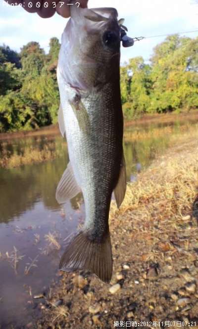 �֥�å��Х�