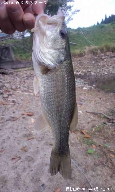 �֥�å��Х�