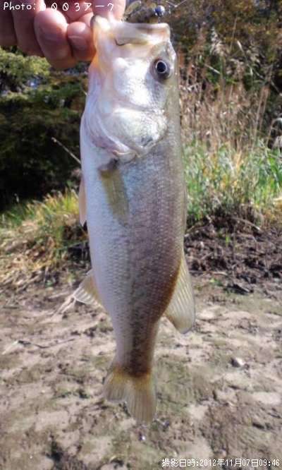 �֥�å��Х�