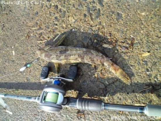 �����ʥ�