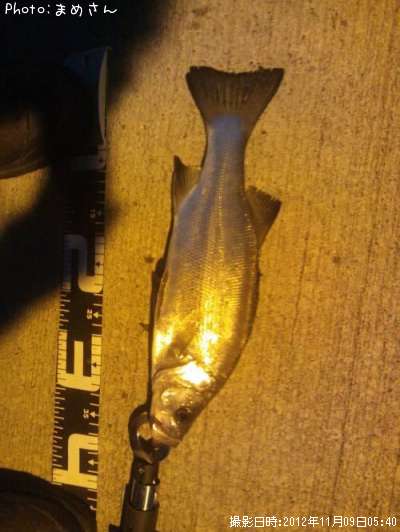 �����Х�