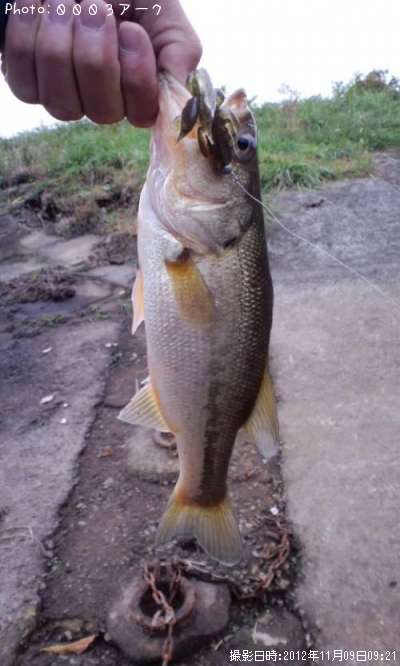 �֥�å��Х�