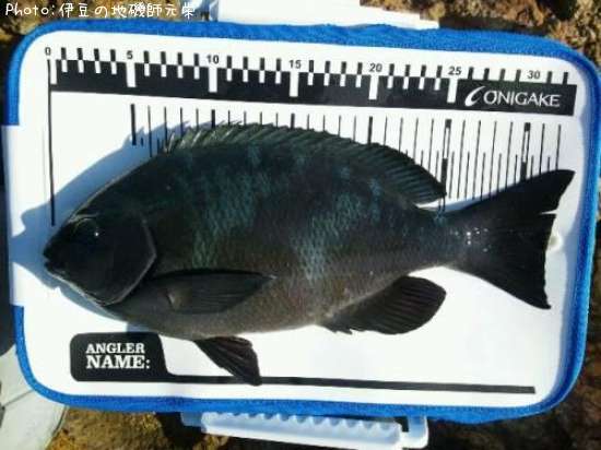 �����᥸��