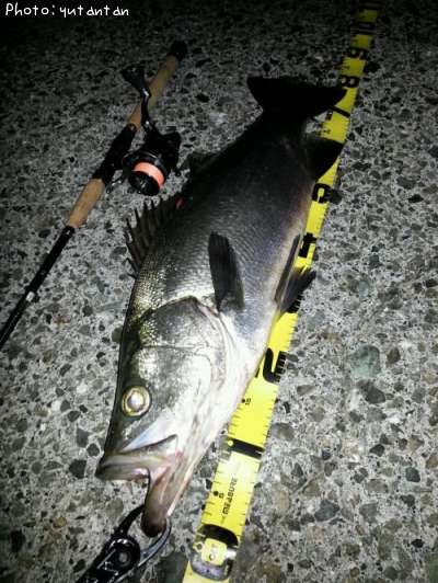 �ҥ饹����