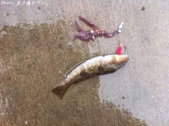 �����ʥ�