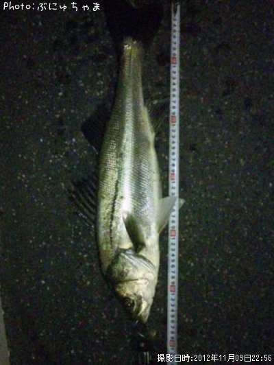 �����Х�