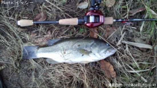 �֥�å��Х�