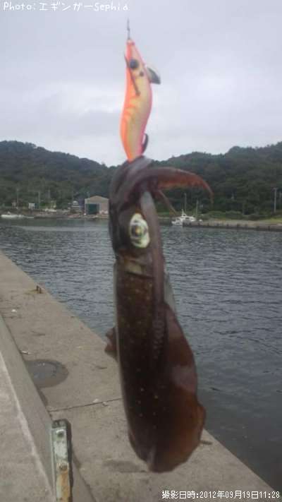 �����ꥤ��