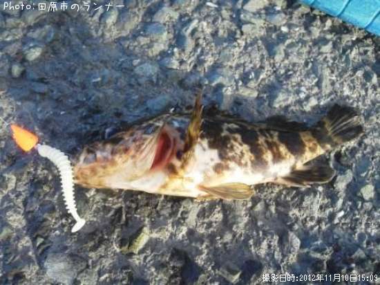 �����Υ���Х�