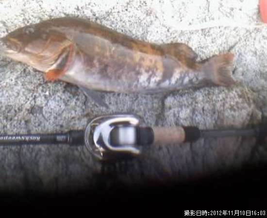 �����ʥ�