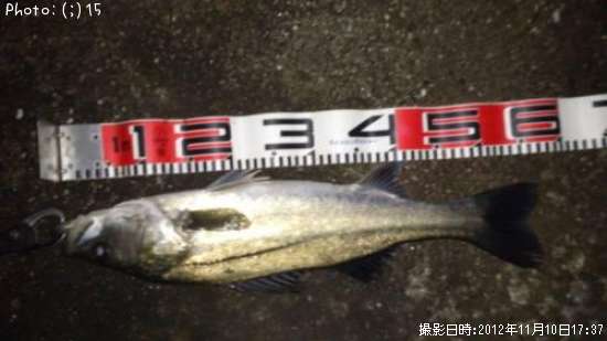 �����Ф�