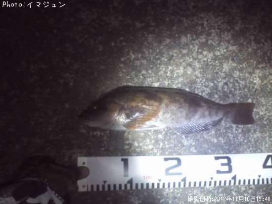 �����ʥ�