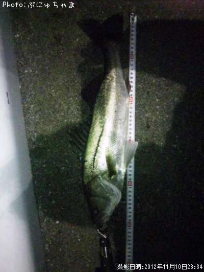 �����Х�