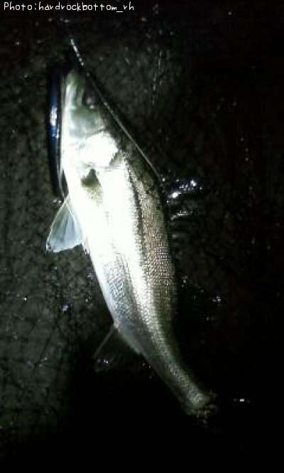 �����Х�