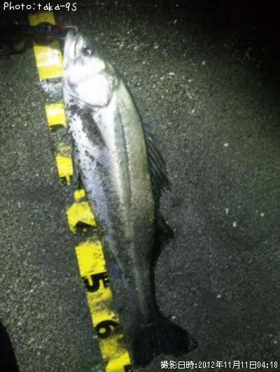 �����Х�