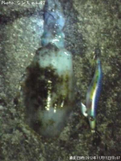 �����ꥤ��