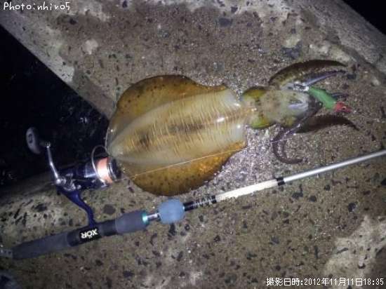 �����ꥤ��