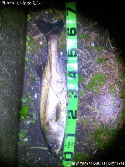 �����Х�