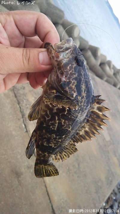 �����Υ���������