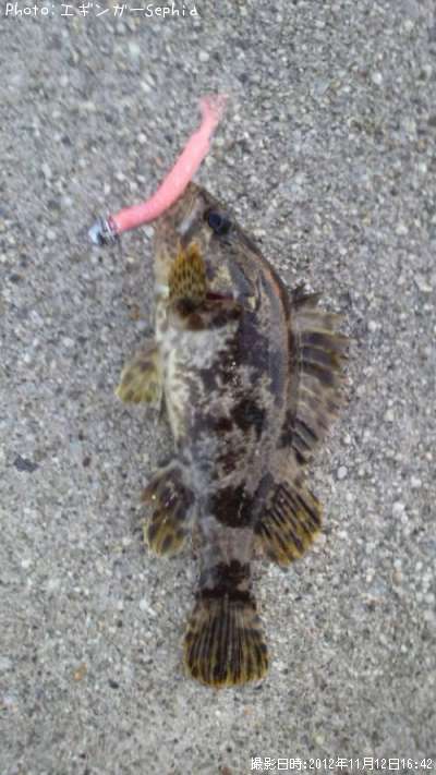 �����Υ���Х�