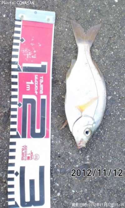 ���ߥ��ʥ�