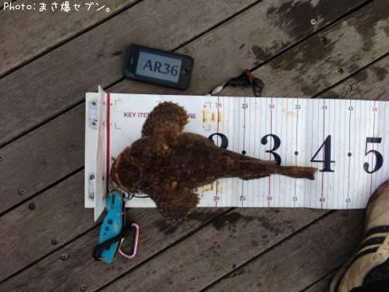 ���ॷ������