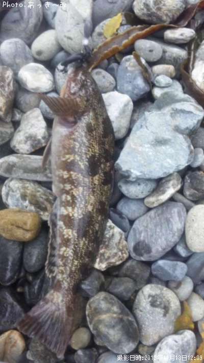 �����ʥ�