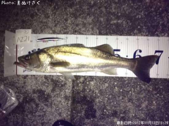 �����Х�