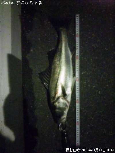 �����Х�