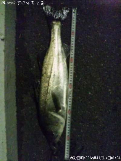 �����Х�